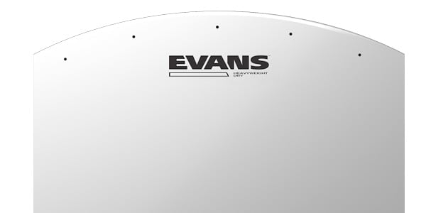EVANS / B13HWD ヘビーウェイト ドライ 13インチ画像2