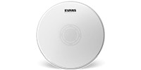 EVANS / B13UV1RD
