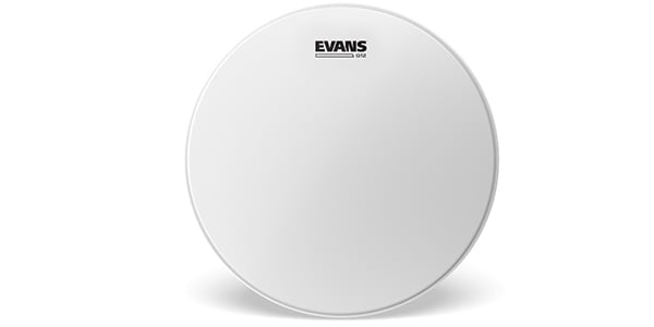EVANS / B14G12 G12 コーテッド