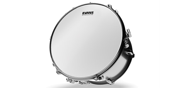 EVANS / B14G12 G12 コーテッド画像2