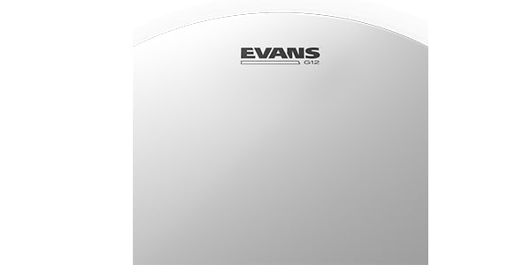 EVANS / B14G12 G12 コーテッド画像3