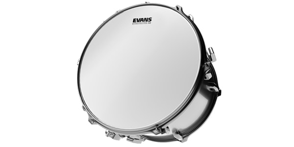 EVANS / B14G2 G2 コーテッド 14インチ画像2