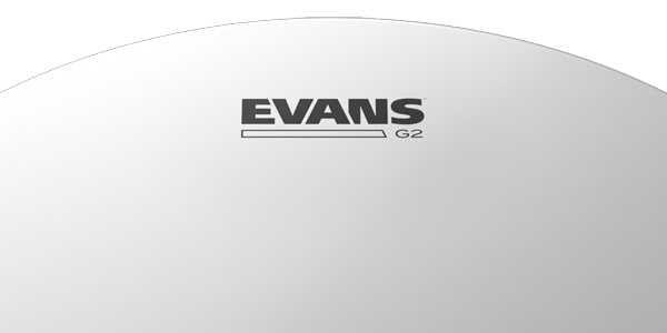 EVANS / B14G2 G2 コーテッド 14インチ画像3