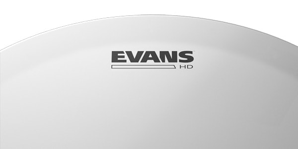 EVANS ( エバンス )  / B14HD　ヘビーデューティ コーテッド 14インチ画像3