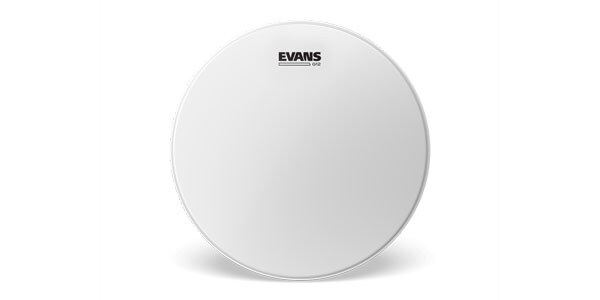 EVANS ( エバンス )  / B15G12　G12 コーテッド 15インチ
