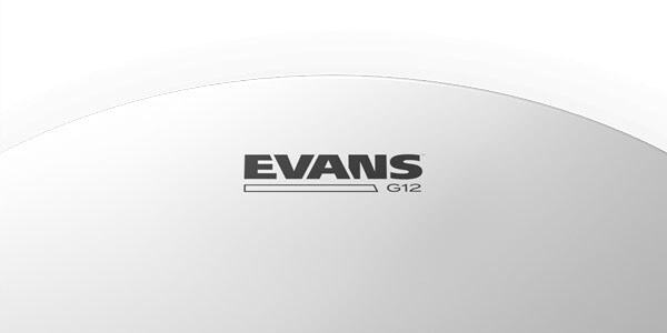 EVANS ( エバンス )  / B15G12　G12 コーテッド 15インチ画像3