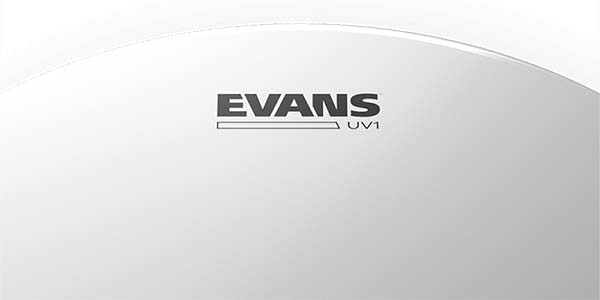 EVANS ( エバンス )  / B18UV1　UV1 コーテッド 18インチ画像3