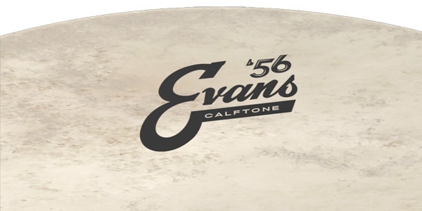 EVANS / BD18CT　カーフトーン 18インチ バスドラムヘッド画像4