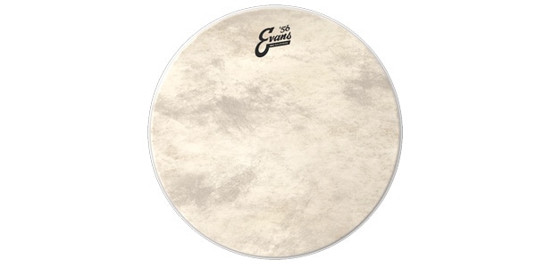 EVANS / BD20GB4CT　EQ4 カーフトーン 20インチ