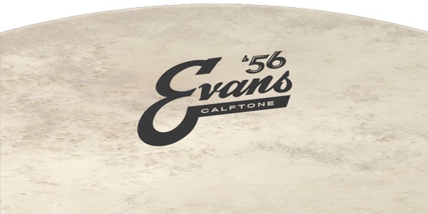 EVANS ( エバンス )  / BD22CT　カーフトーン 22インチ バスドラムヘッド画像4