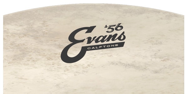 EVANS / BD24CT　カーフトーン 24インチ バスドラムヘッド画像4