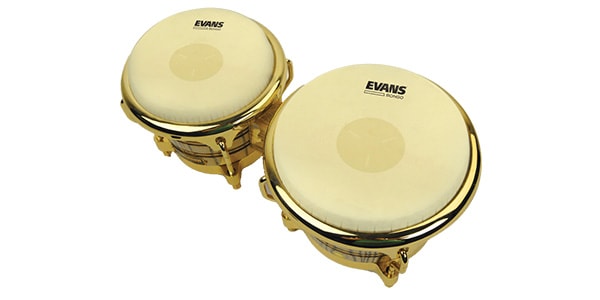 EVANS / EB0709画像2