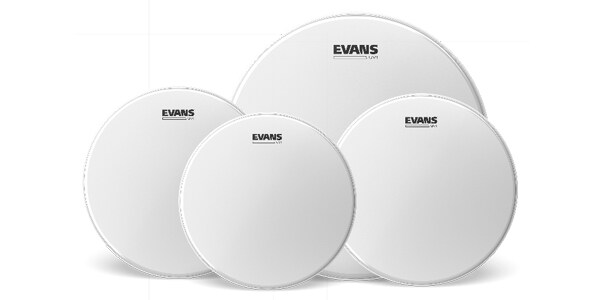 EVANS ( エバンス )  / EPP-UV1-F UV1コーテッド セット
