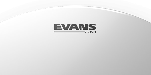 EVANS ( エバンス )  / EPP-UV1-F UV1コーテッド セット画像3