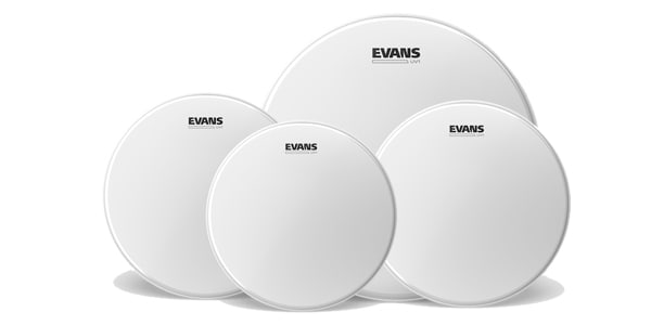 EVANS ( エバンス )  / EPP-UV1-S UV1 コーテッド 12インチ13インチ16インチ