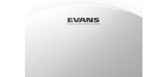 EVANS ( エバンス )  / EPP-UV1-S UV1 コーテッド 12インチ13インチ16インチ画像3