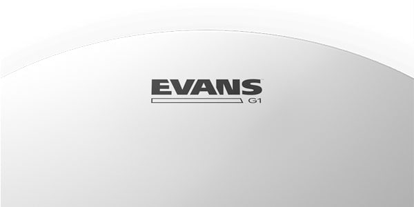 EVANS ( エバンス )  / ETP-G1CTD-F　G1 コーテッド 10/12/14/画像3