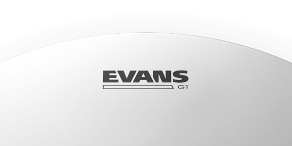 EVANS / ETP-G1CTD-S画像3