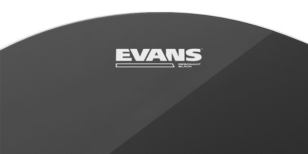 EVANS ( エバンス )  / TT08RBG　レゾナントブラック 8インチ画像3