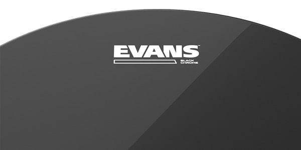 EVANS / TT12CHR　ブラッククローム 12インチ画像3