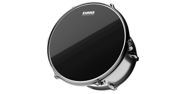 EVANS ( エバンス )  / TT12RBG　レゾナントブラック 12インチ画像2