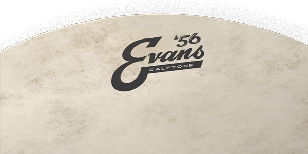 EVANS ( エバンス )  / TT13C7　カーフトーン 13インチ画像3