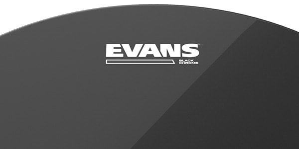 EVANS / TT13CHR画像3