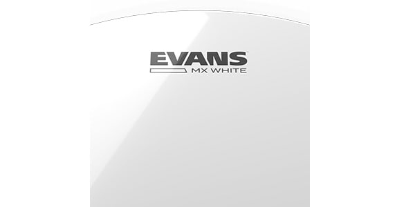 EVANS ( エバンス )  / TT13MXW画像2