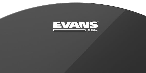 EVANS ( エバンス )  / TT14CHR　ブラッククローム 14インチ画像3