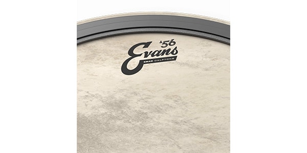 EVANS / TT16EMADCT画像2