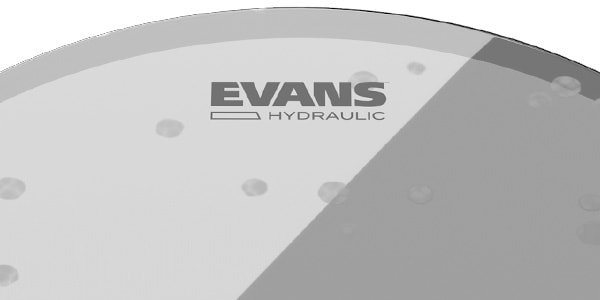EVANS ( エバンス )  / TT20HG　ハイドローリック・グラス20インチ画像3