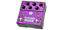 EVENTIDE ROSE