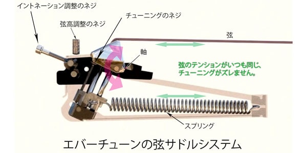EVERTUNE ( エバーチューン )  / EVERTUNE F Model 7-string Gold