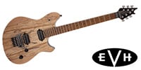 EVH / Wolfgang WG Standard Exotic Spalted Maple Natural