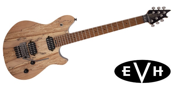 EVH / Wolfgang WG Standard Exotic Spalted Maple Natural