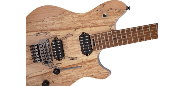 EVH / Wolfgang WG Standard Exotic Spalted Maple Natural画像5