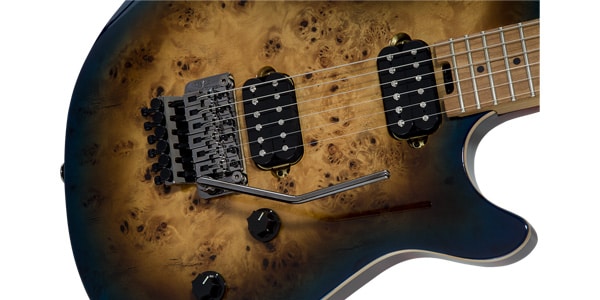 EVH / Wolfgang WG Standard Exotic Midnight Sunset画像5