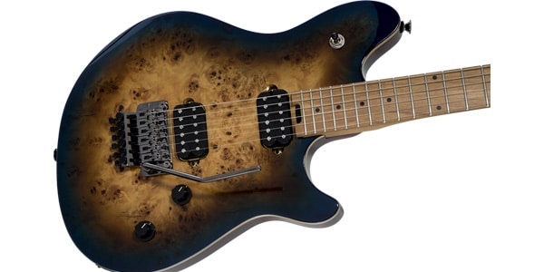 EVH / Wolfgang WG Standard Exotic Midnight Sunset画像6