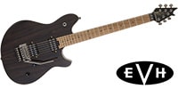 EVH / Wolfgang WG Standard Exotic Ziricote Natural