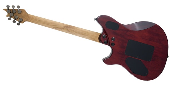 EVH ( イーブイエイチ ) Wolfgang WG Standard Exotic Ziricote