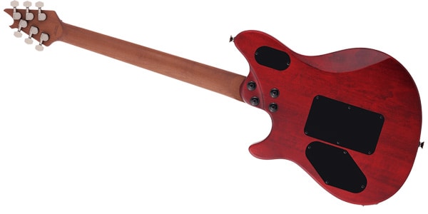 EVH ( イーブイエイチ )  / Wolfgang WG Standard Exotic Bocote Natural画像2