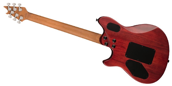 EVH ( イーブイエイチ ) / Wolfgang WG Standard Exotic Laurel Burl Natural画像2