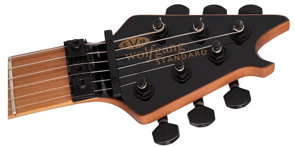EVH / Wolfgang WG STANDARD Matte Army Drab画像9