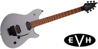 EVH Wolfgang WG STANDARD Quicksilver