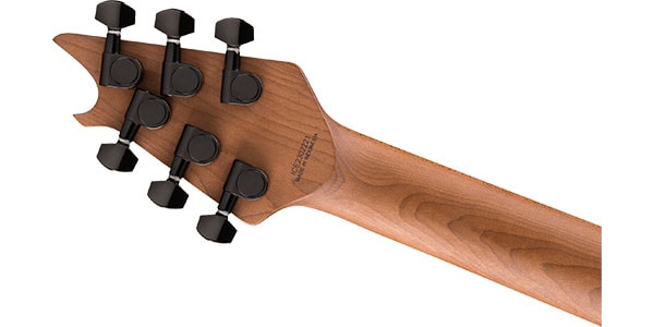 EVH ( イーブイエイチ )  / Wolfgang WG Standard, Baked Maple FB, Pelham Blue画像6