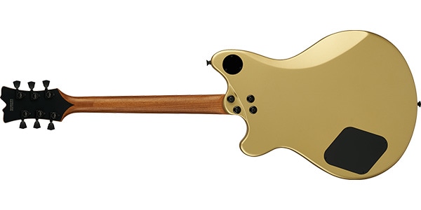 EVH / SA-126 Special Ebony Fingerboard Pharaohs Gold画像2