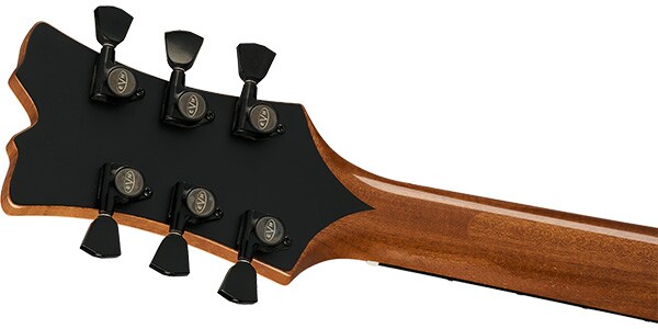 EVH / SA-126 Special Ebony Fingerboard Pharaohs Gold画像5