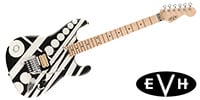 EVH / EVH Striped Series Circles White and Black
