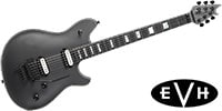 EVH / Wolfgang USA Ebony Silver