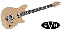 EVH Wolfgang USA NT　エディ・ヴァン・ヘイレンモデル